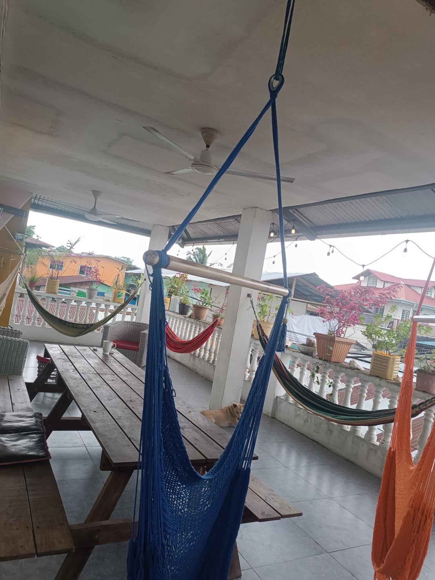 Cataleya Hostel Bocas del Toro Exteriör bild